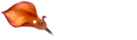 Logo Floristeries Duran peu de pàgina